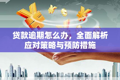 镇坪贷款逾期怎么办，全面解析应对策略与预防措施