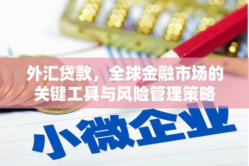 镇坪外汇贷款，全球金融市场的关键工具与风险管理策略