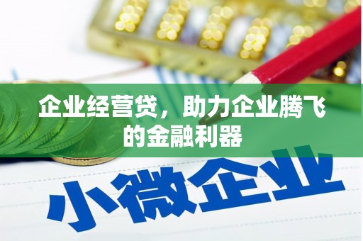 镇坪企业经营贷，助力企业腾飞的金融利器