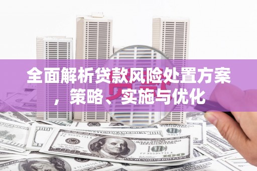 镇坪全面解析贷款风险处置方案，策略、实施与优化