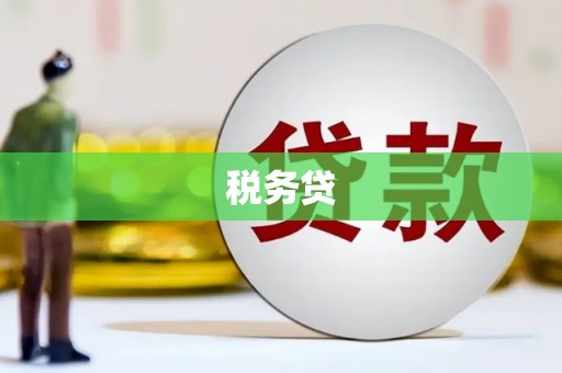 镇坪税务贷