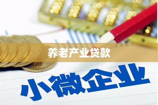 镇坪养老产业贷款