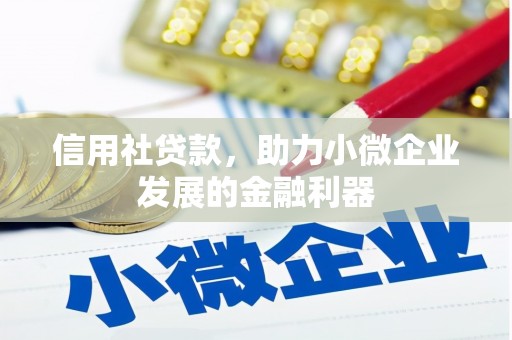 镇坪信用社贷款，助力小微企业发展的金融利器