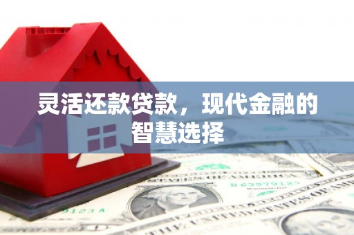 镇坪灵活还款贷款，现代金融的智慧选择