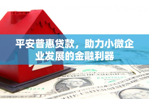 镇坪平安普惠贷款，助力小微企业发展的金融利器