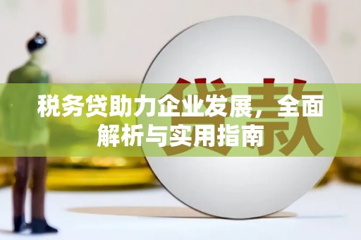 镇坪税务贷助力企业发展，全面解析与实用指南