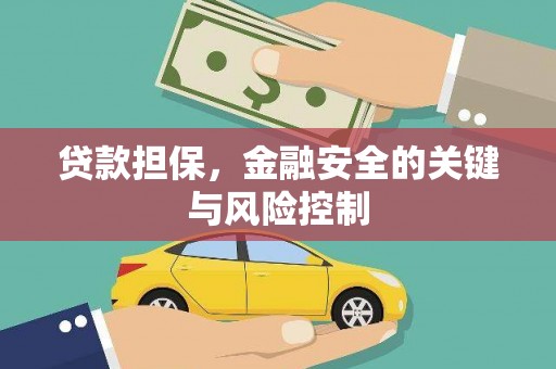 镇坪贷款担保，金融安全的关键与风险控制