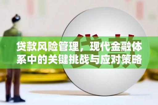 镇坪贷款风险管理，现代金融体系中的关键挑战与应对策略