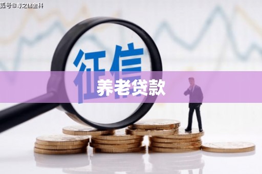 镇坪养老贷款