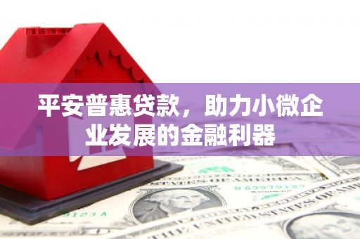 镇坪平安普惠贷款，助力小微企业发展的金融利器