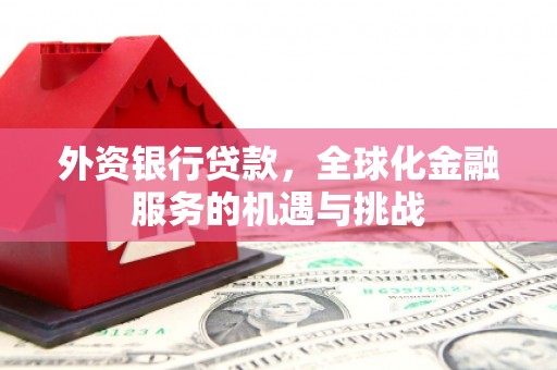 镇坪外资银行贷款，全球化金融服务的机遇与挑战