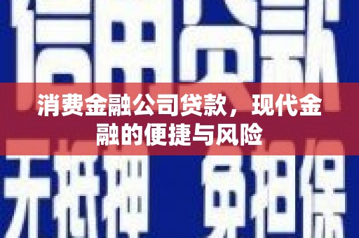 镇坪消费金融公司贷款，现代金融的便捷与风险