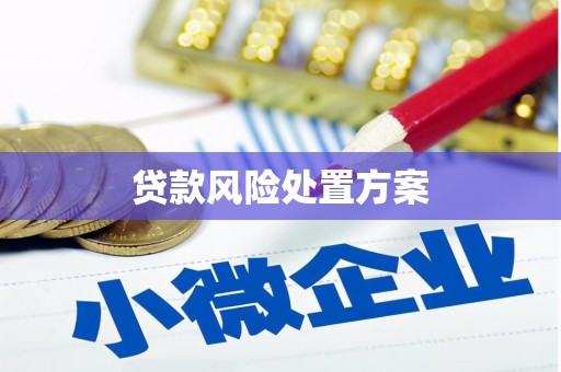 镇坪贷款风险处置方案
