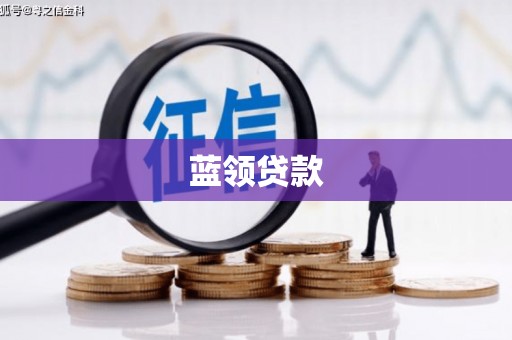 镇坪蓝领贷款