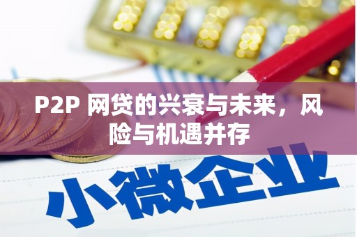 镇坪P2P 网贷的兴衰与未来，风险与机遇并存